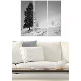Wallity Set slika MDF1971050, 3 dijela | Eponuda.ba