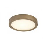 Rabalux Spoljna plafonska rasveta Shaun Plus LED 24W zlatna (75078) Cene