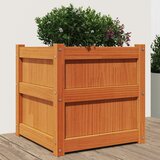 Maison Chic Vrtno cvetlično korito - Cvetlični Lonec voščeno rjavo 50x50x50 cm trdna borovina, (21790245) | Shoptok.si