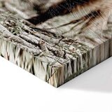  Slika - Young Stag (1 Part) Vertical 20x30 Premium Print | shoptok.hr