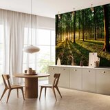  Foto tapeta - Spring: Morning in the Forest 350x256 Vodootporna | shoptok.hr