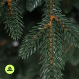 Můj Stromeček Umetna jelka višina 180 cm Canadian Spruce 3D – | Shoptok.si