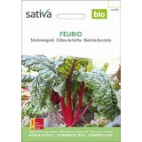  Blitva "Feurio" Cene