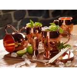 Echtwerk Set Lončkov Za Koktajl Moscow Mule, 5-Delni | Shoptok.si