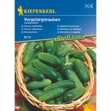 KIEPENKERL Sjeme povrća krastavac Vorgebirgstrauben (Cucumis sativus, Berba: Srpanj) Cijene