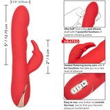 California Exotic Novelties grelni ultra soft rabbit vibrator "jack rabbit" - rdeč (R12434) | Shoptok.si