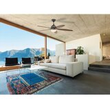 Eglo 35043 - Plafonski ventilator LOSCIALE 1xE27/60W/230V + daljinski upravljač | Eponuda.com