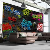  Tapeta - Graffiti wall 350x245 Cijene
