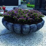  PVC tegla KORITO MARJETICA SREDNJA 6086 | shoptok.hr