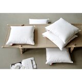 Ringsted Dun Punilo za jastuk s punjenjem od perja 50x60 cm Jack the Dullard – | shoptok.hr