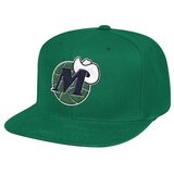 Mitchell And Ness Kape s šiltom Dallas Mavericks Zelena | Shoptok.si