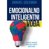 Publik Praktikum Emocionalno inteligentni vođa - Danijel Goleman ( H0190 ) Cene