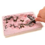  Set za izkopavanje okostja T-rexa | Shoptok.si