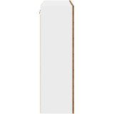 Viseći ormarić Staro drvo 80 x 31 x 100 cm Konstruirano drvo | shoptok.hr