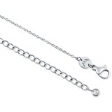 Vuch Ženska ogrlica Staria Silver, 44 cm Slike