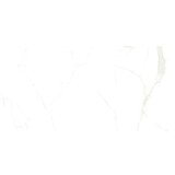  Granitogresne ploščice Marble Neo Cala (60 x 120 cm, Bela/Zlata, Sijaj) | Shoptok.si
