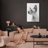 Artgeist Slika Na Platnu Hairless Cat | Shoptok.si