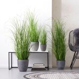 Modern Living Šop Trave Patrick | Shoptok.si