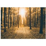  Tapeta - Magical Light 300x210 | shoptok.hr