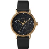 Timex Analogne ure ty577040 Pozlačena Cene