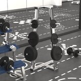 vidaXL Utež 40 kg lito železo | Shoptok.si