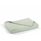 Mijolnir Zeleni pamučni prekrivač za bračni krevet 240x260 cm Lines -