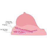 Hidden Desire Bangers Fuck My Virgin Pussy Skin | Shoptok.si
