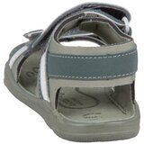 Ricosta 504200402530 Zelena | shoptok.hr