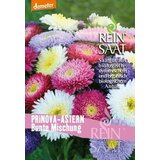 ReinSaat Bio mešanica poletnih aster Cene