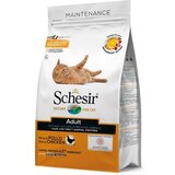 Schesir Suva hrana za mačke sa ukusom piletine 400g Cene