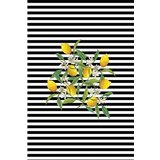 Conceptum Hypnose Tepih staza (80x120) Hmnt541 | Eponuda.com