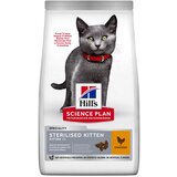 Hill’s Science Plan Sterilised Kitten piščanec - 10 kg Cene