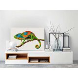  Slika za samostalno slikanje - Chameleon 60x40 | shoptok.hr
