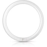  Flourescentna lampa PHILIPS TL-E 80 TL-E 22W 4000K G10Q Cijene