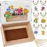 Own Grown Škatla za gojenje "užitnega cvetja" - 6 vrečk semen