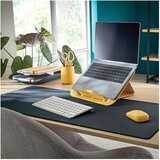 MAPA stolna 80x40cm cosy leitz 52680089 siva | Shoptok.si