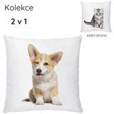 Butter Kings Dječji jastuk od pamučnog satena 45x45 cm The Cutest Ones – | shoptok.hr