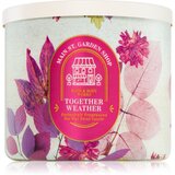 Bath & Body Works Together Weather dišeča sveča 411 g | Shoptok.si