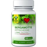 Raab Vitalfood GmbH bergamotka - artičoka Cene