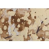  Naslikana slika na platnu drevo 1-delna YOBCWFTR047 - 120x90 cm () | shoptok.hr