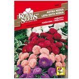  Lijepa Kata niska MIX Royal Seeds Cijene
