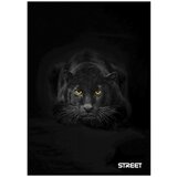 STREET Zvezek A4 Safari, črte z robom, 54 listov, sortirano, 1 kos | Shoptok.si