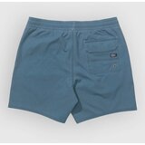 Salty Crew Seadog Volley Boardshorts hydro | Shoptok.si