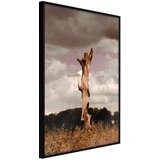  Poster - Loneliness in Nature 20x30 Cijene