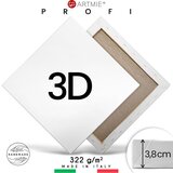  3D Slikarsko platno na ramu PROFI | izaberite dimenziju cene