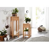Livetastic STOLPIČNO STOJALO ZA ROŽE | Shoptok.si