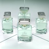 Antonio Banderas Queen of Seduction toaletna voda za ženske 50 ml | Shoptok.si