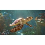Fireshine Games Planet Zoo 2 (PlayStation 5) | shoptok.hr