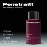 Sebastian Professional Penetraitt Bundle set za poškodovane in kemično obdelane lase | Shoptok.si