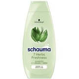 Schauma 7 Herbs zeliščni šampon za normalne in mastne lase 400 ml | Shoptok.si